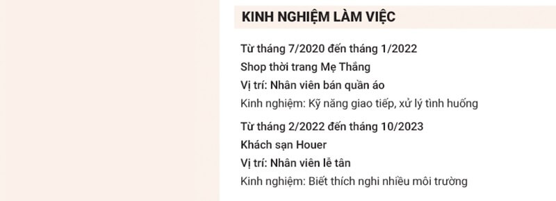 Kinh nghiệm làm việc – Nơi thể hiện năng lực chuyên môn